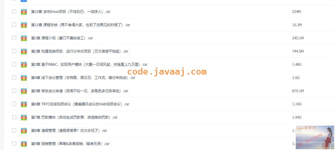 在线办公系统SpringBoot+Vue3项目实战视频课程
